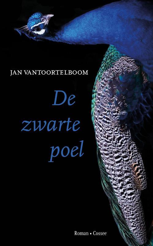 Omslag van boek: De zwarte poel