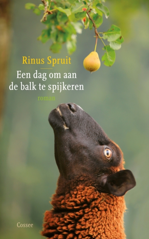 Maarten's Perfect World